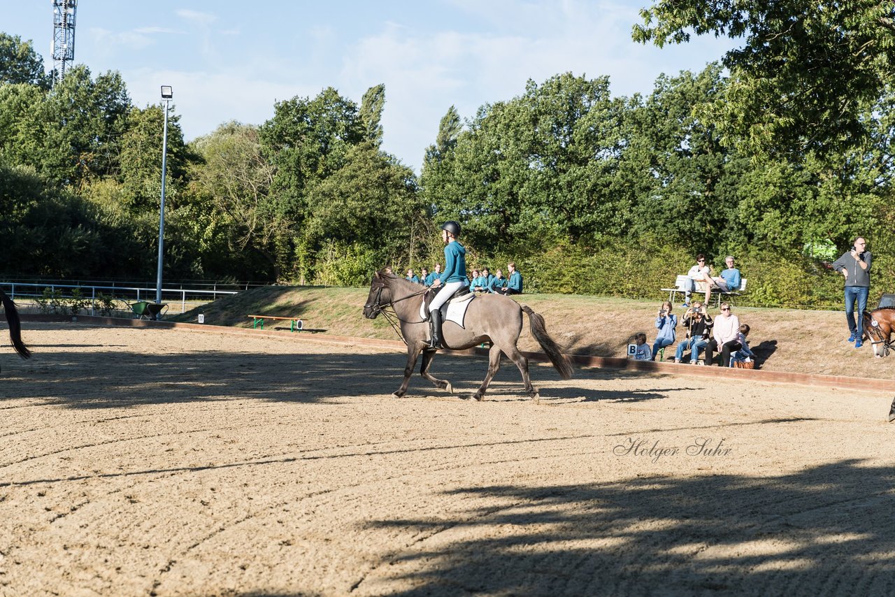 Bild 31 - Pony Akademie Turnier